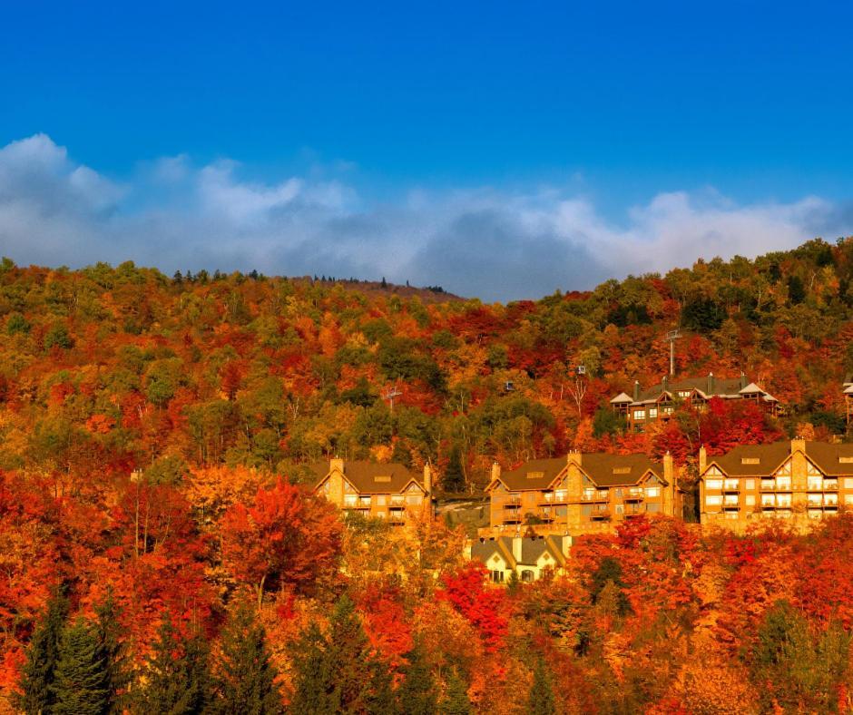 Altitude Inout 3 Bdrs W Sauna And Hot Tub Mont-Tremblant